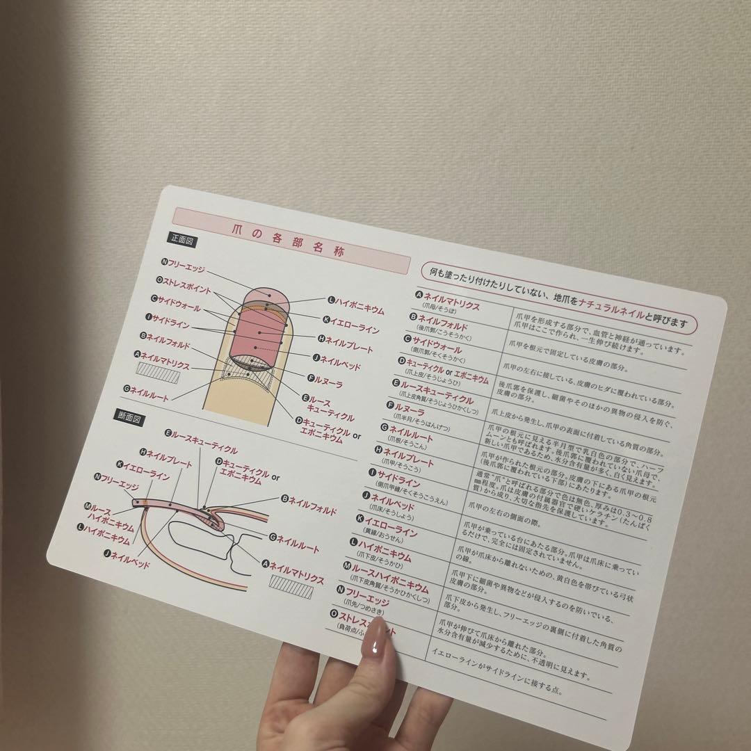 ネイリスト検定2級3級/JNAジェル検定初級テキスト/ネイリスト技能検定