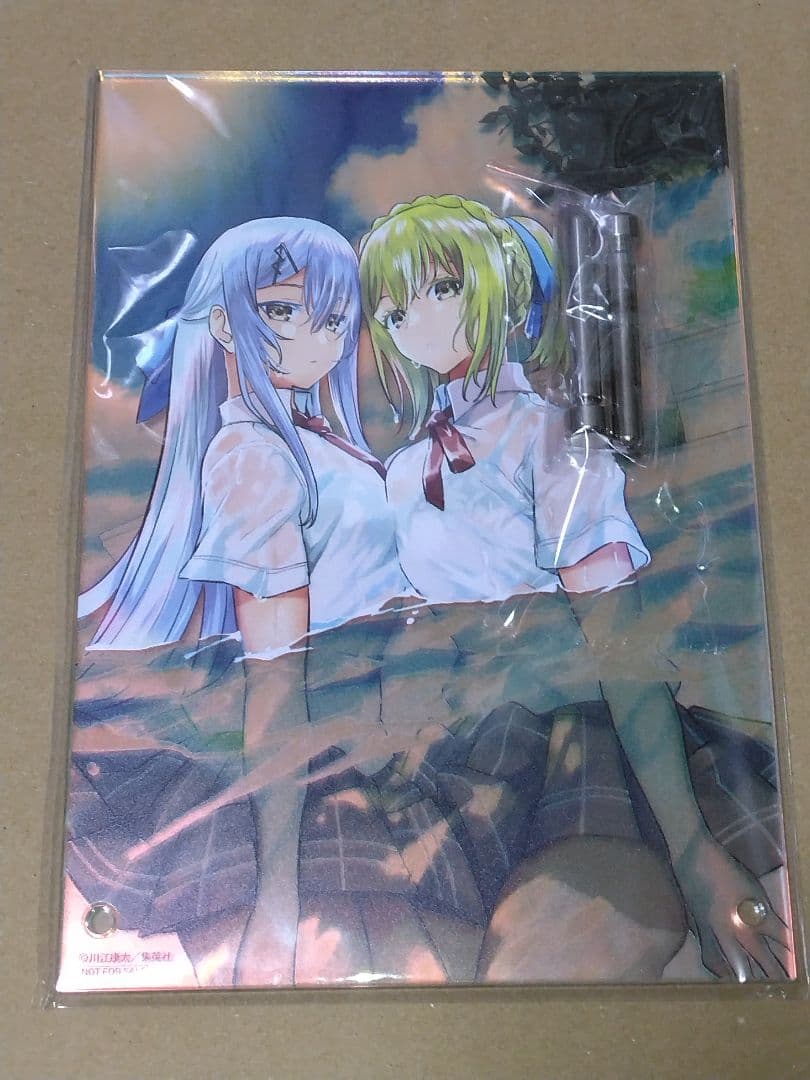 100名限定】鵺の陰陽師 オーロラアクリルボード - メルカリ