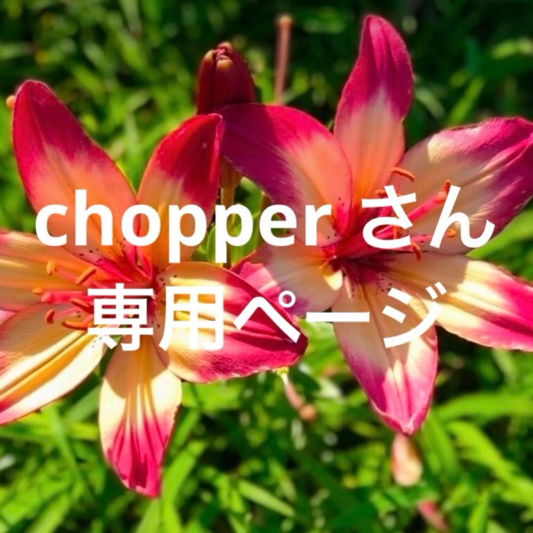 chopper さん Chopper] Twin Cam Chopper Speeding Through Miyagi! [Chopper
