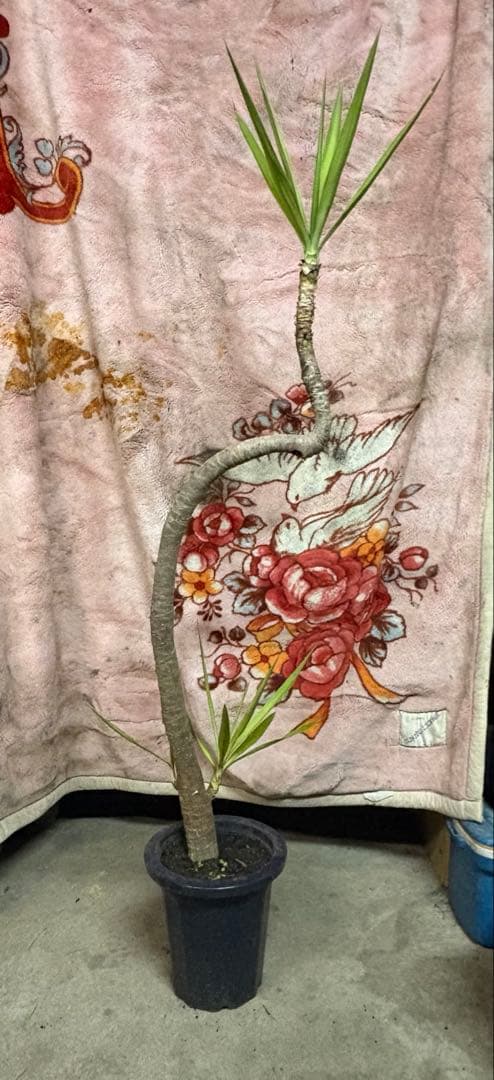 k.com様用⑥ 国鉄 72・73形通勤電車(全金車)基本セット｜製品情報｜製品検索｜鉄道