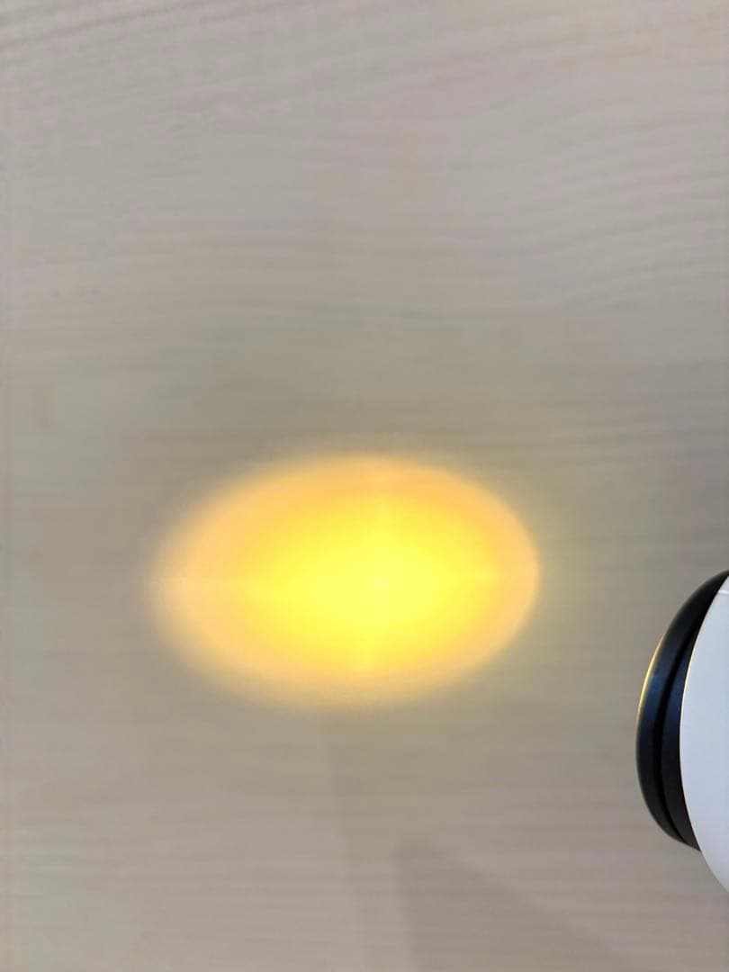 最終値下げ！！バイオプトロン　美顔器☆