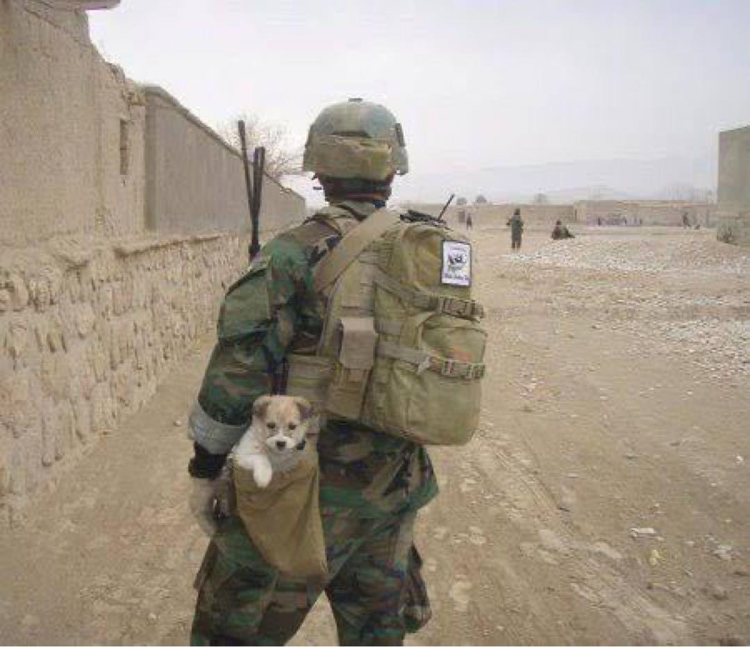 実物 CSM Tactical Gear ダンプポーチ RG 海兵隊 陸自 - メルカリ