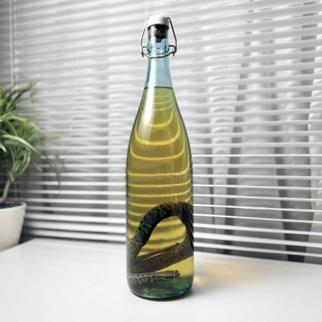 マムシ酒 マムシ焼酎 - メルカリ