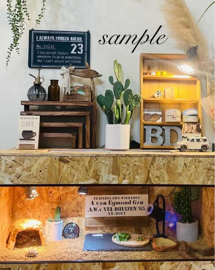 爬虫類ケージ 木製ケージ フトアゴ ハリネズミ プロフ必読 フルオプ 送料別