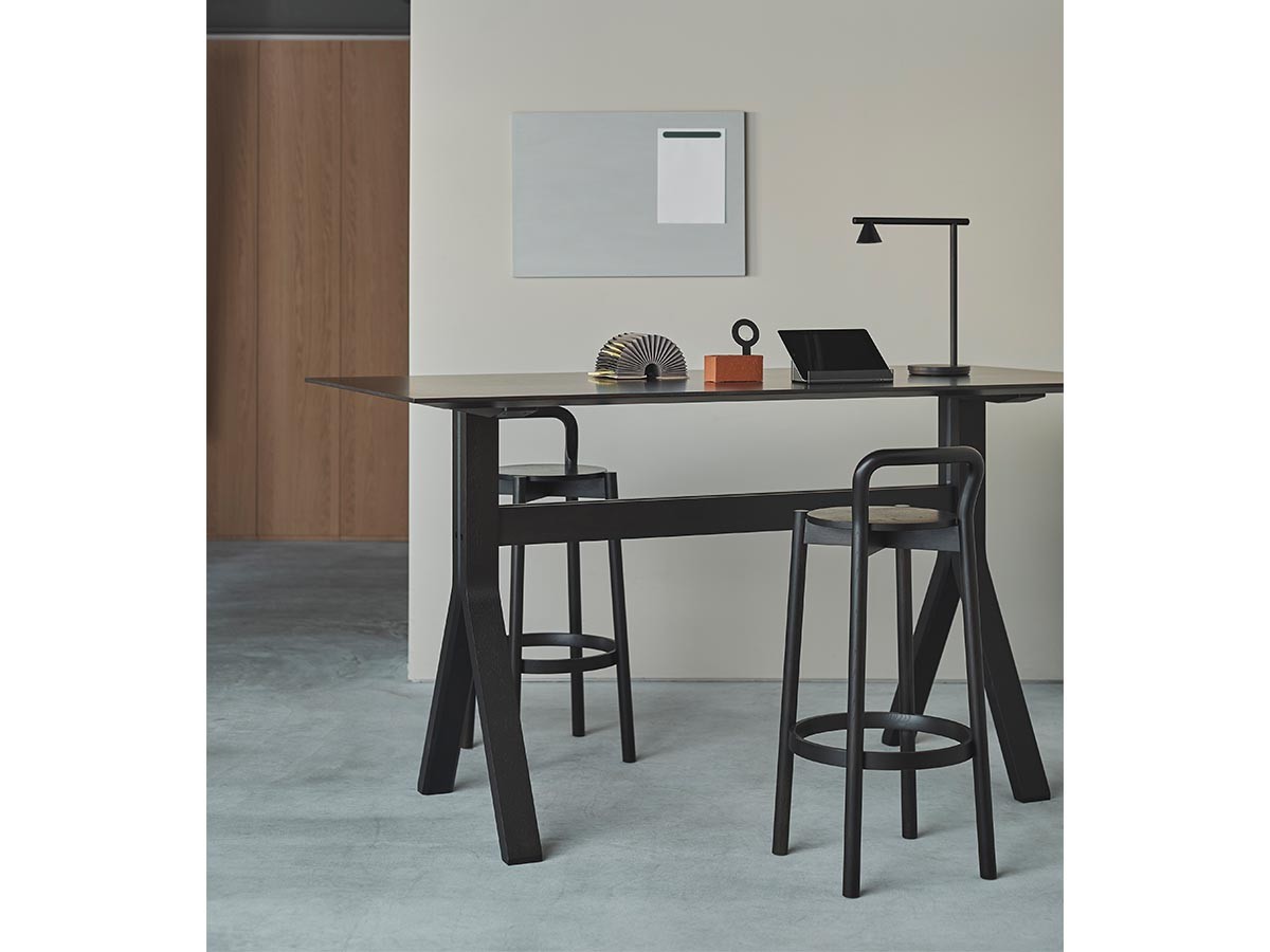 KARIMOKU NEW STANDARD SPECTRUM HIGH ST / カリモクニュー