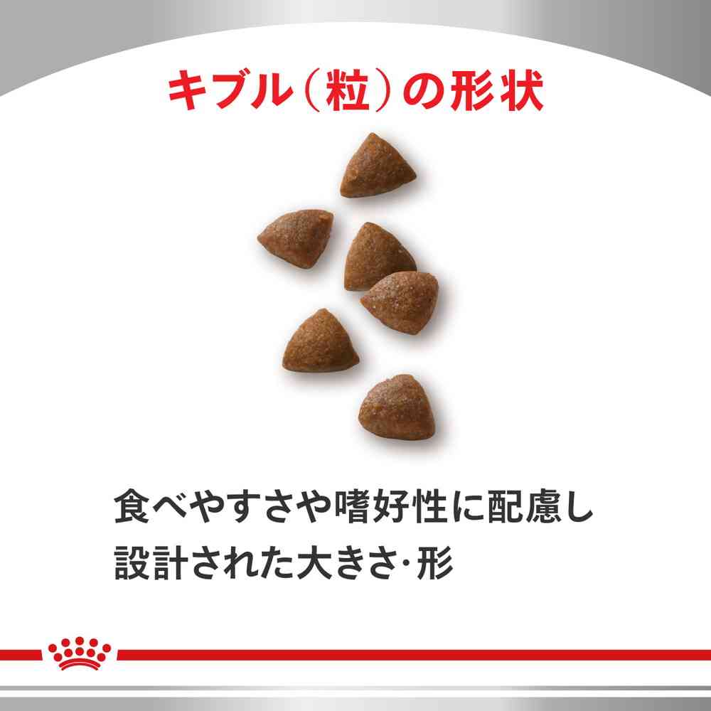 猫用 消化器サポート 2kgx1